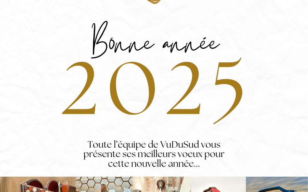 VuDuSud :Voeux 2025