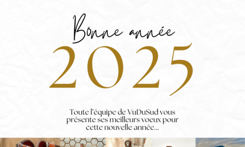 VuDuSud :Voeux 2025